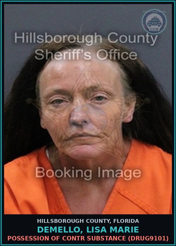 Booking mugshot of DEMELLO, LISA MARIE in Hillsborough County