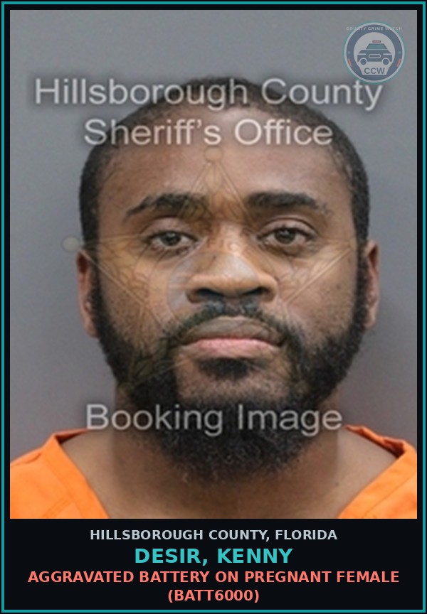 Booking mugshot of DESIR, KENNY in Hillsborough County