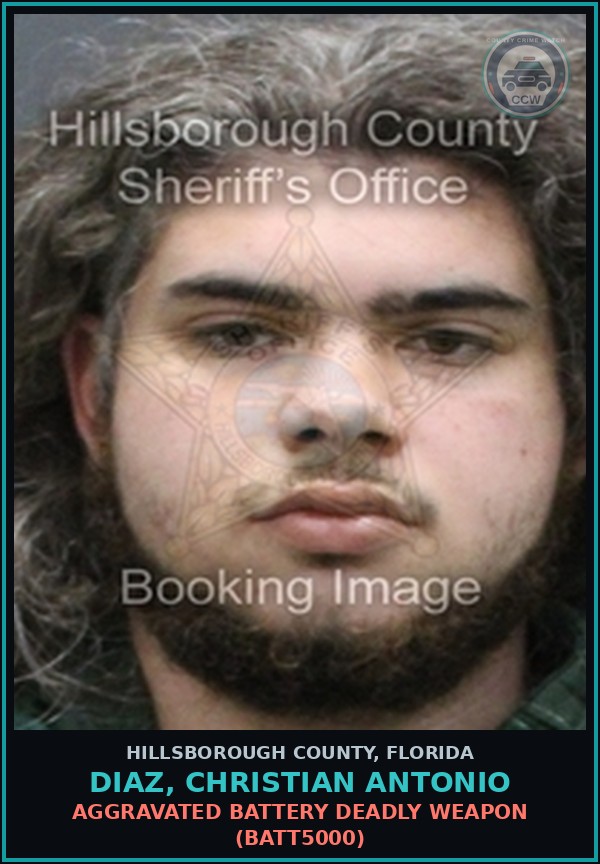 Booking mugshot of DIAZ, CHRISTIAN ANTONIO in Hillsborough County