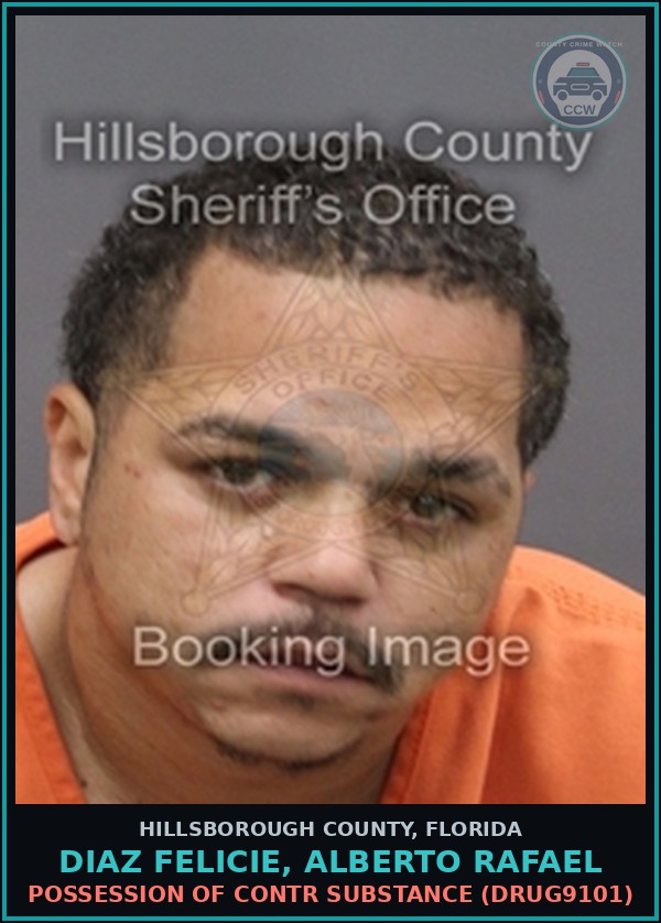 Booking mugshot of DIAZ FELICIE, ALBERTO RAFAEL in Hillsborough County