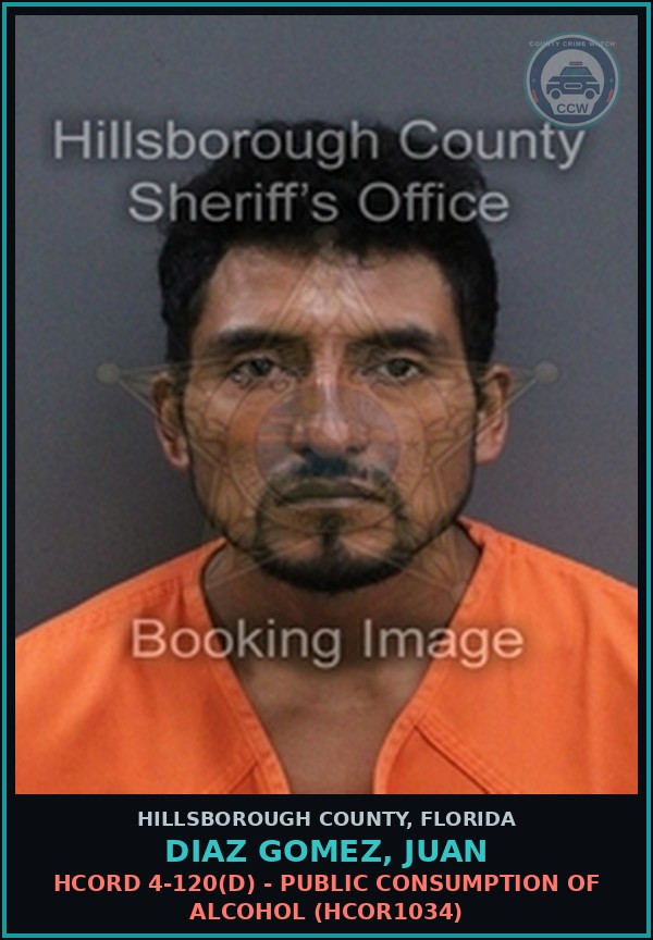 Booking mugshot of DIAZ GOMEZ, JUAN in Hillsborough County