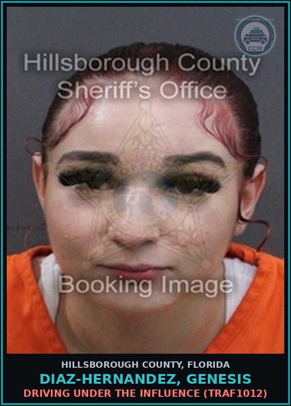 Booking mugshot of DIAZ-HERNANDEZ, GENESIS in Hillsborough County