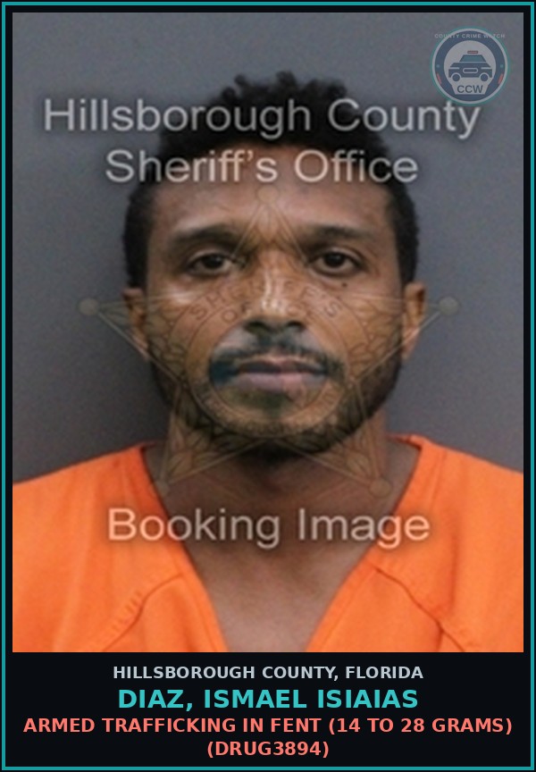 Booking mugshot of DIAZ, ISMAEL ISIAIAS in Hillsborough County