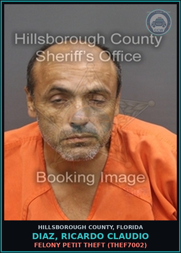 Booking mugshot of DIAZ, RICARDO CLAUDIO in Hillsborough County