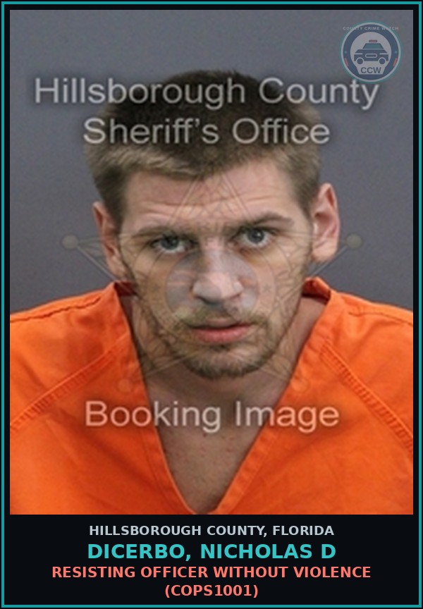 Booking mugshot of DICERBO, NICHOLAS D in Hillsborough County