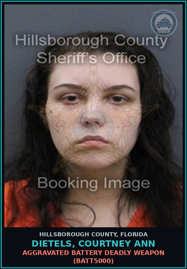 Booking mugshot of DIETELS, COURTNEY ANN in Hillsborough County