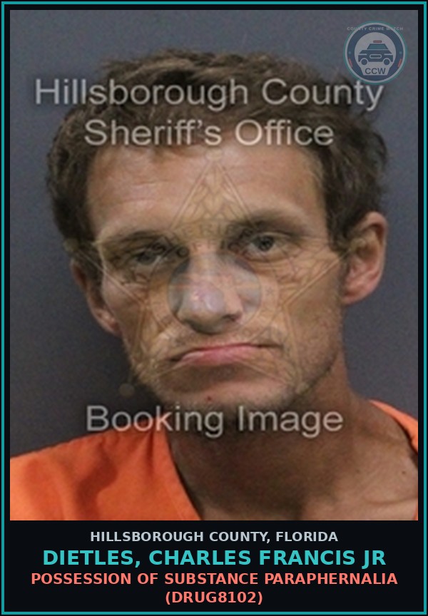 Booking mugshot of DIETLES, CHARLES FRANCIS JR in Hillsborough County