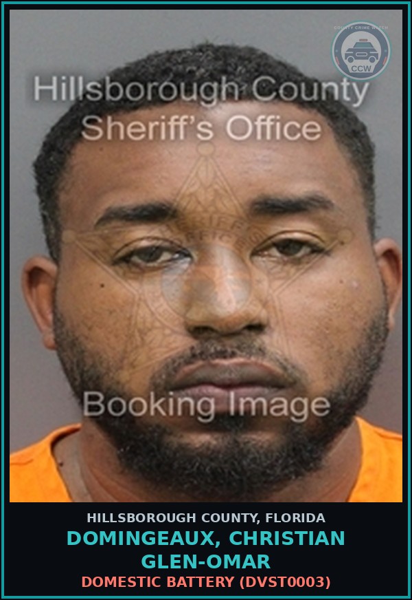 Booking mugshot of DOMINGEAUX, CHRISTIAN GLEN-OMAR in Hillsborough County