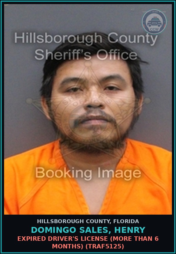 Booking mugshot of DOMINGO SALES, HENRY in Hillsborough County