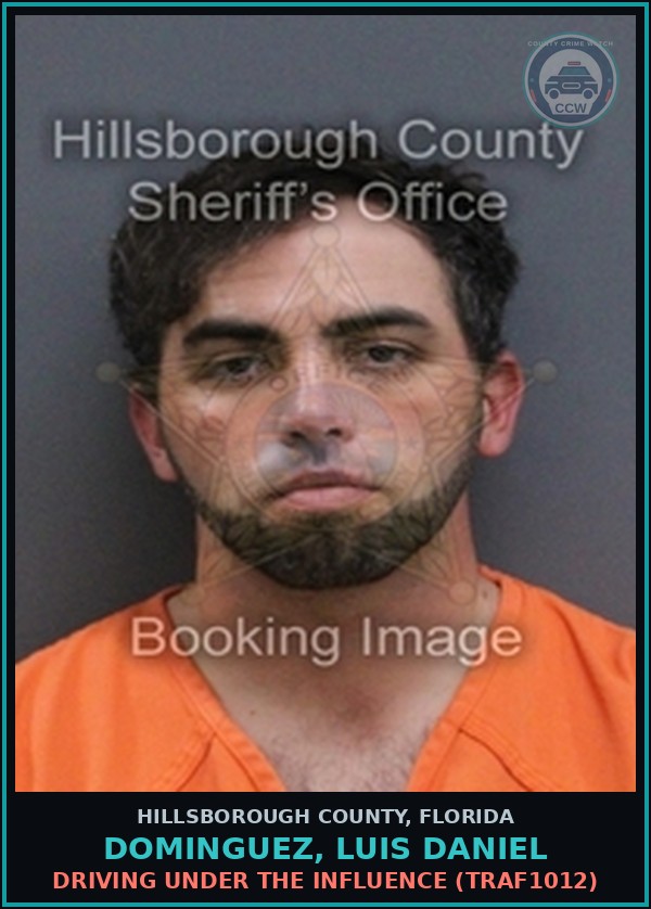 Booking mugshot of DOMINGUEZ, LUIS DANIEL in Hillsborough County