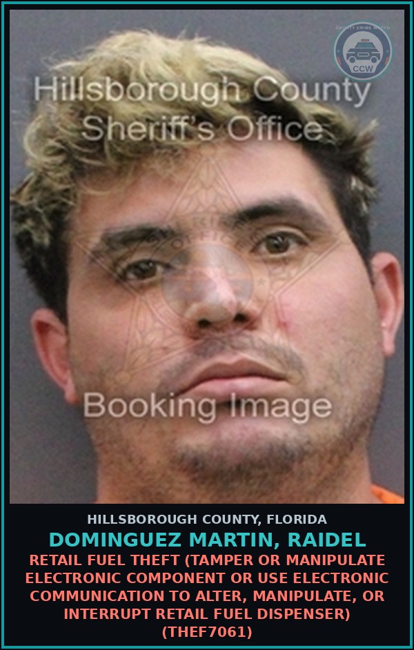 Booking mugshot of DOMINGUEZ MARTIN, RAIDEL in Hillsborough County