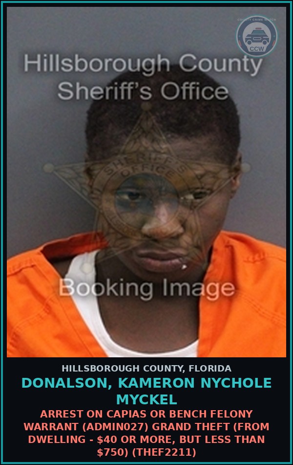Booking mugshot of DONALSON, KAMERON NYCHOLE MYCKEL in Hillsborough County