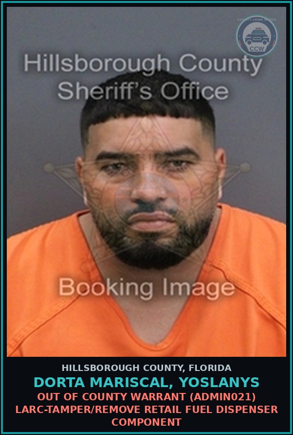 Booking mugshot of DORTA MARISCAL, YOSLANYS in Hillsborough County