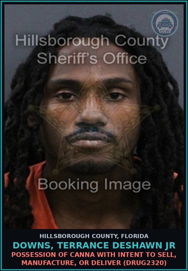 Booking mugshot of DOWNS, TERRANCE DESHAWN JR in Hillsborough County