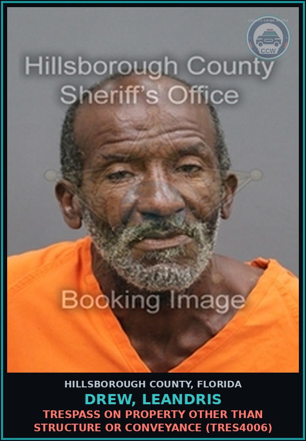 Booking mugshot of DREW, LEANDRIS in Hillsborough County