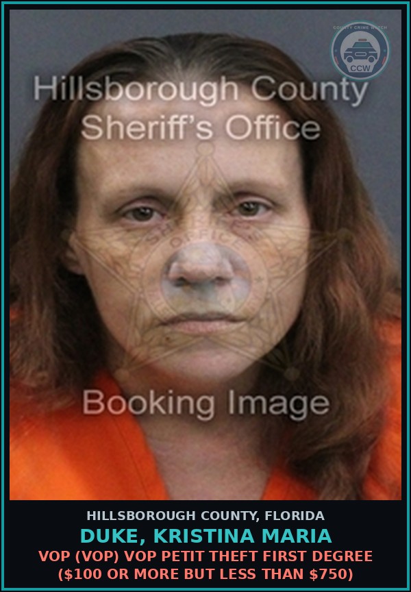 Booking mugshot of DUKE, KRISTINA MARIA in Hillsborough County