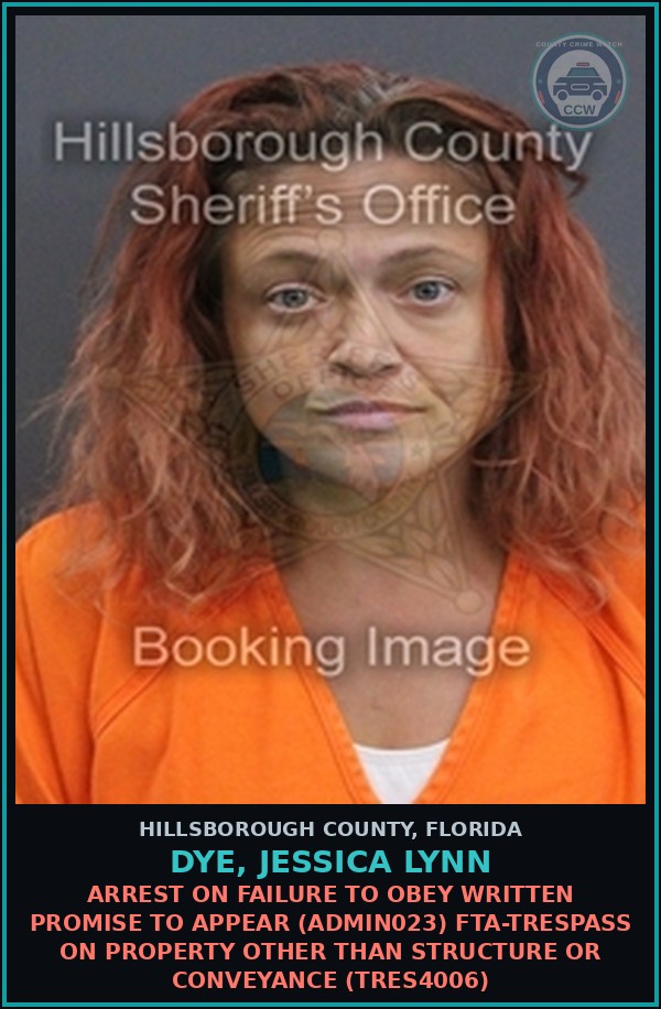Booking mugshot of DYE, JESSICA LYNN in Hillsborough County
