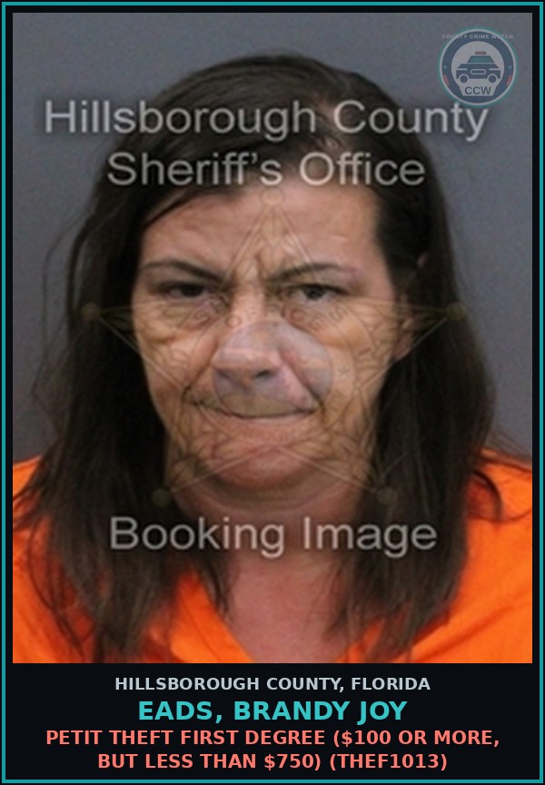Booking mugshot of EADS, BRANDY JOY in Hillsborough County