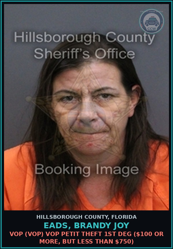 Booking mugshot of EADS, BRANDY JOY in Hillsborough County