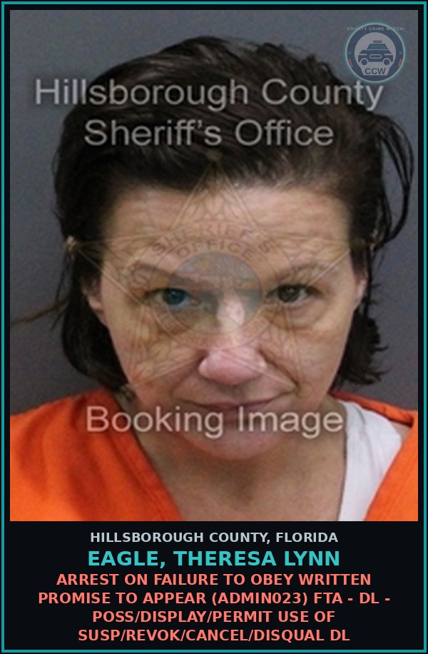 Booking mugshot of EAGLE, THERESA LYNN in Hillsborough County