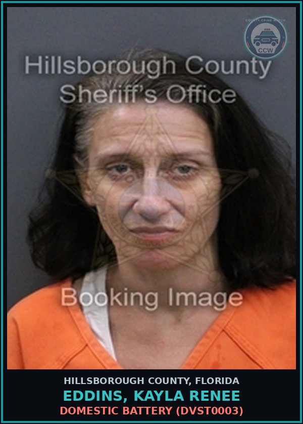 Booking mugshot of EDDINS, KAYLA RENEE in Hillsborough County