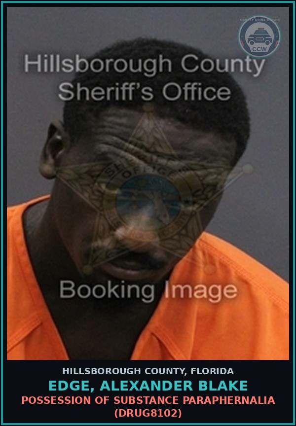 Booking mugshot of EDGE, ALEXANDER BLAKE in Hillsborough County
