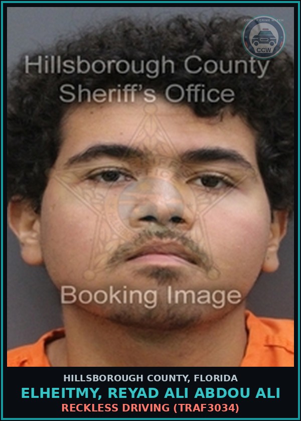 Booking mugshot of ELHEITMY, REYAD ALI ABDOU ALI in Hillsborough County