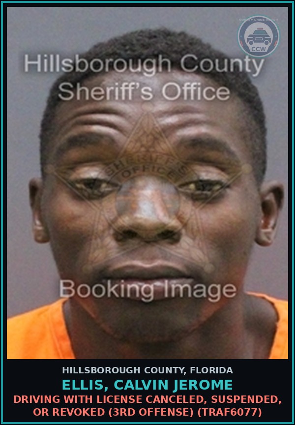 Booking mugshot of ELLIS, CALVIN JEROME in Hillsborough County