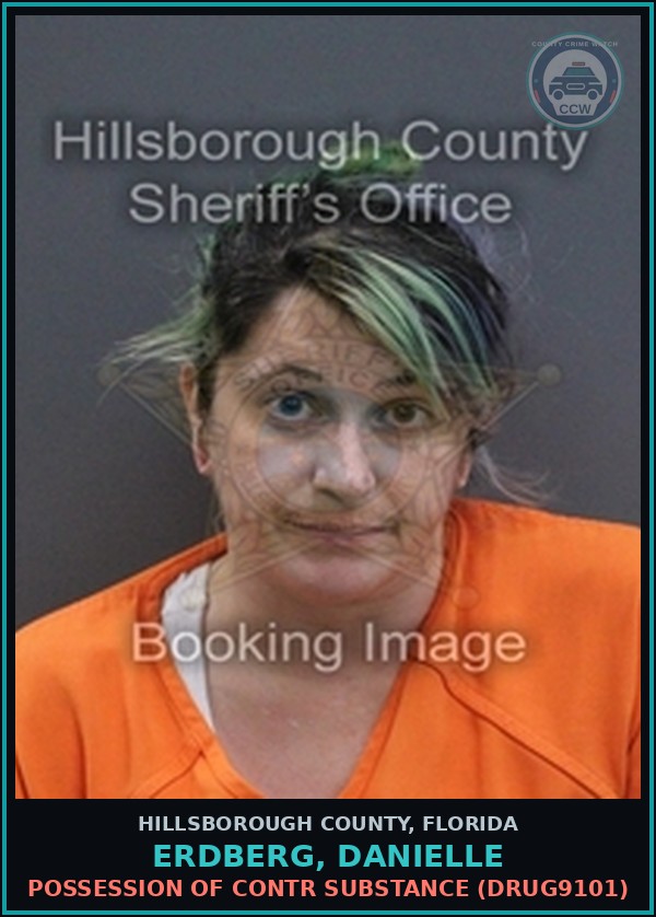Booking mugshot of ERDBERG, DANIELLE in Hillsborough County