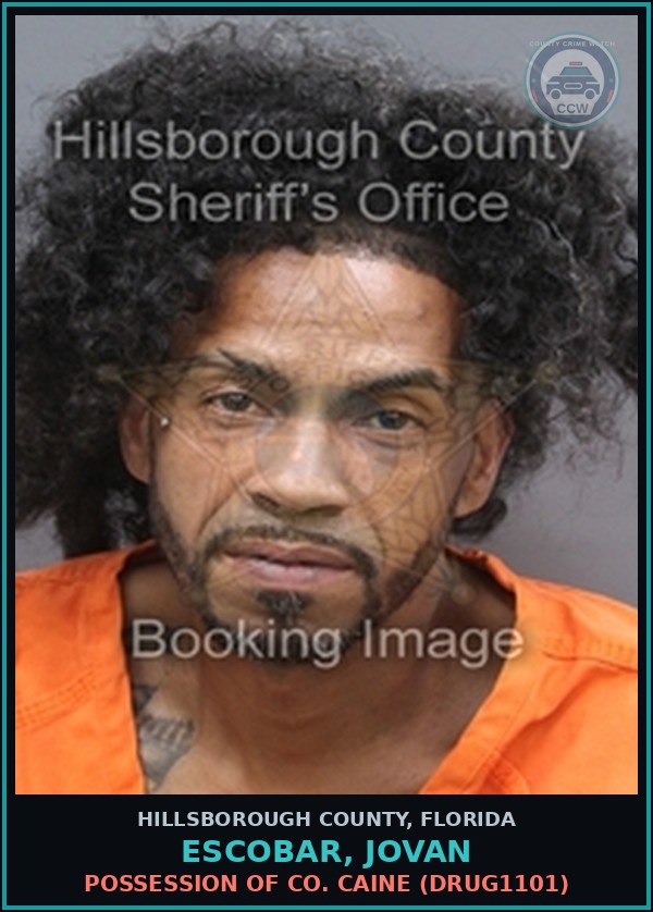 Booking mugshot of ESCOBAR, JOVAN in Hillsborough County