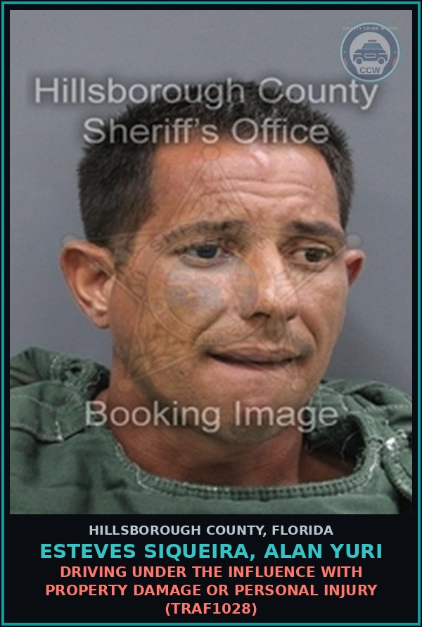 Booking mugshot of ESTEVES SIQUEIRA, ALAN YURI in Hillsborough County