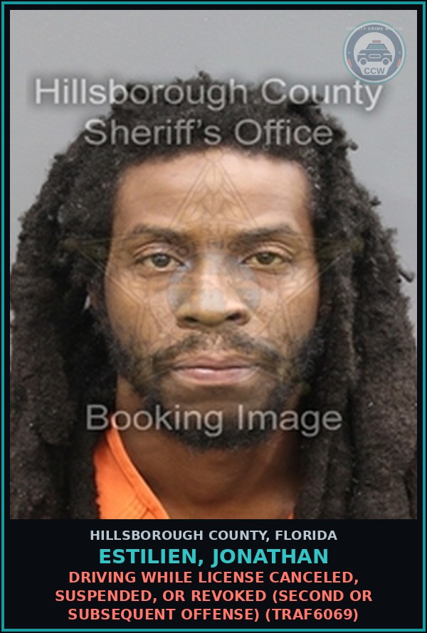 Booking mugshot of ESTILIEN, JONATHAN in Hillsborough County