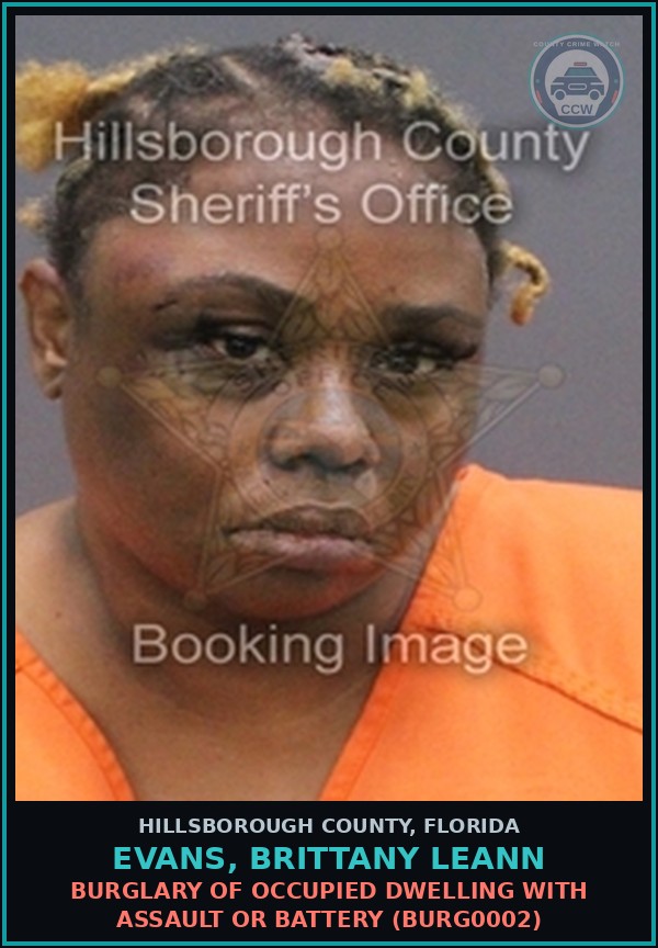 Booking mugshot of EVANS, BRITTANY LEANN in Hillsborough County