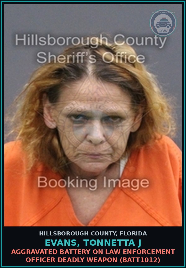 Booking mugshot of EVANS, TONNETTA J in Hillsborough County