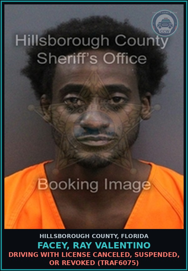 Booking mugshot of FACEY, RAY VALENTINO in Hillsborough County