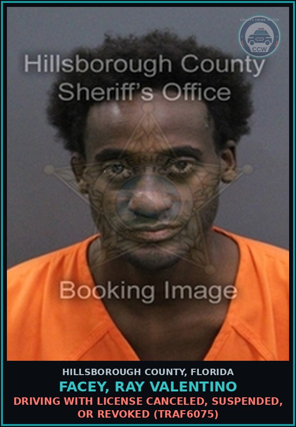 Booking mugshot of FACEY, RAY VALENTINO in Hillsborough County