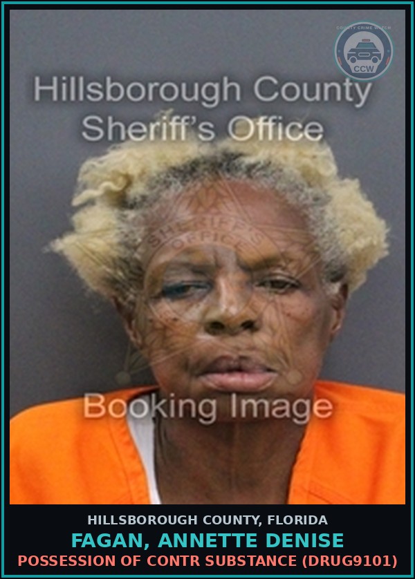Booking mugshot of FAGAN, ANNETTE DENISE in Hillsborough County