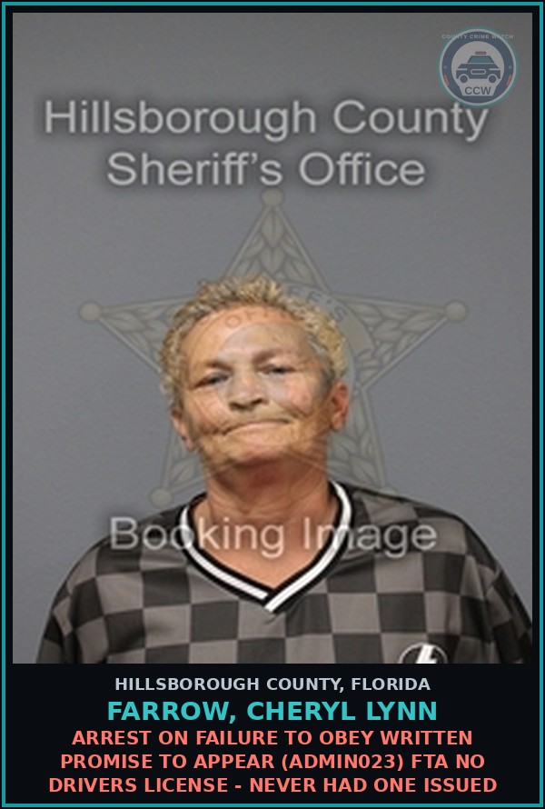 Booking mugshot of FARROW, CHERYL LYNN in Hillsborough County
