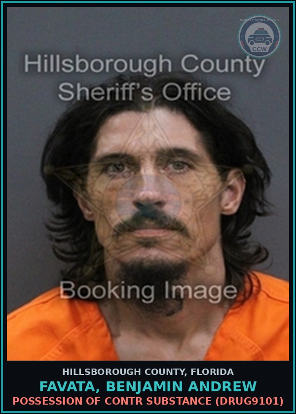 Booking mugshot of FAVATA, BENJAMIN ANDREW in Hillsborough County