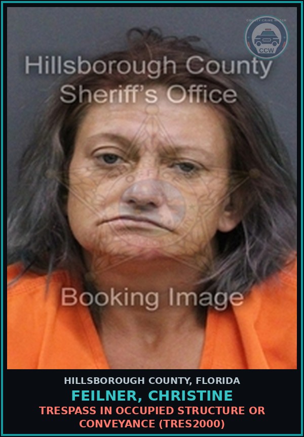 Booking mugshot of FEILNER, CHRISTINE in Hillsborough County