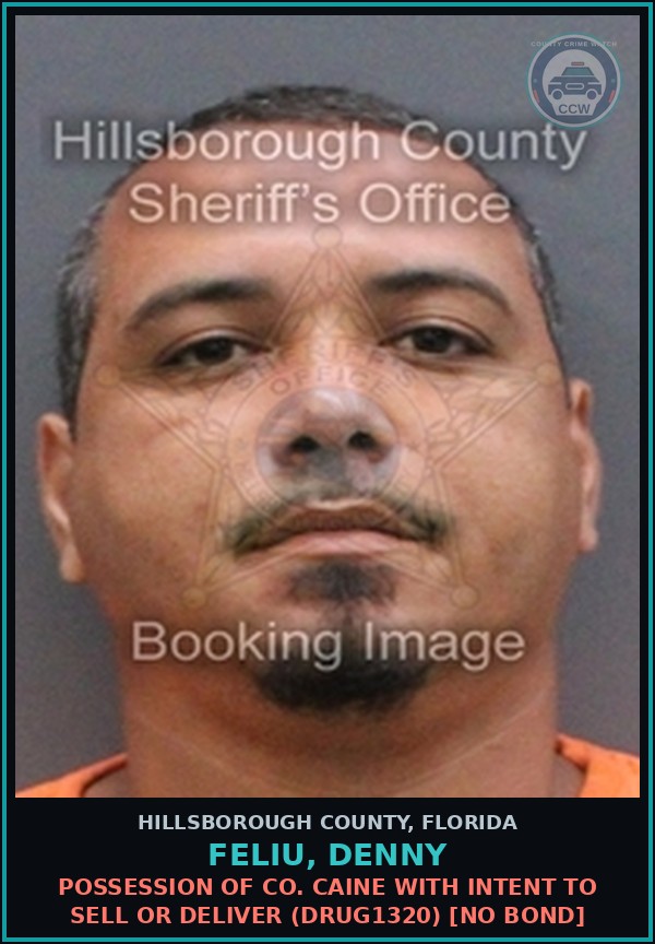 Booking mugshot of FELIU, DENNY in Hillsborough County
