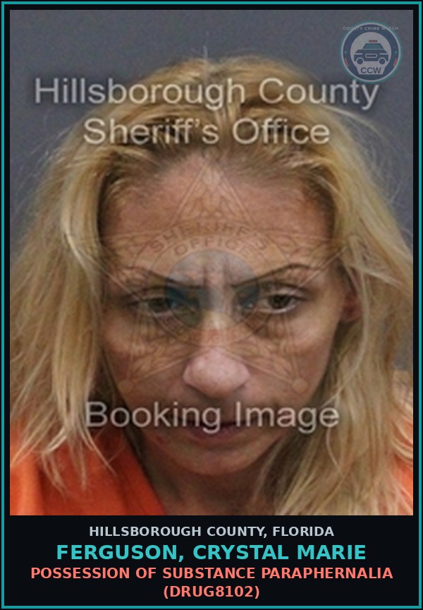 Booking mugshot of FERGUSON, CRYSTAL MARIE in Hillsborough County