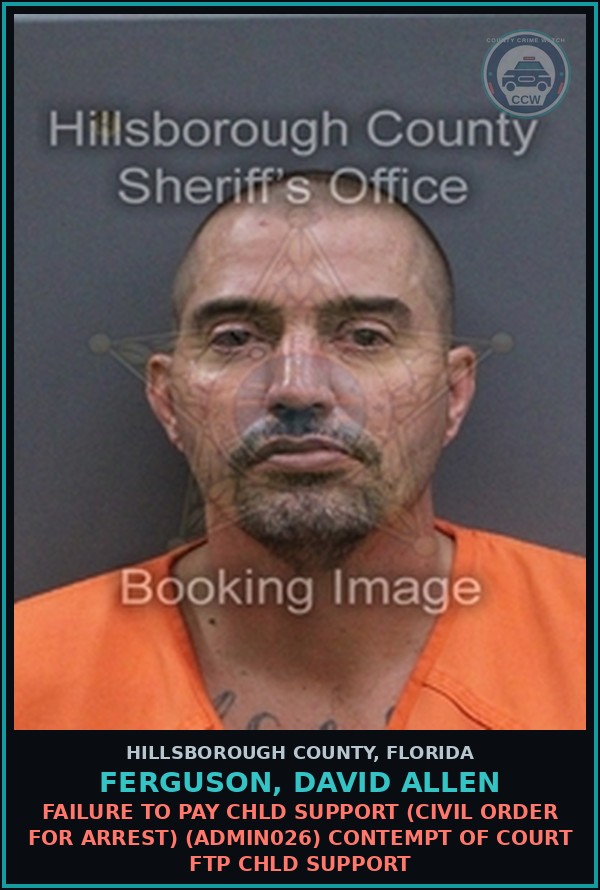 Booking mugshot of FERGUSON, DAVID ALLEN in Hillsborough County