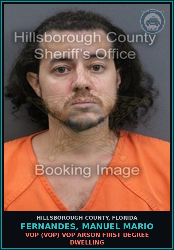 Booking mugshot of FERNANDES, MANUEL MARIO in Hillsborough County