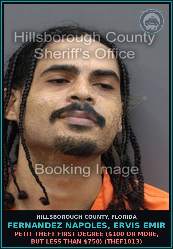 Booking mugshot of FERNANDEZ NAPOLES, ERVIS EMIR in Hillsborough County
