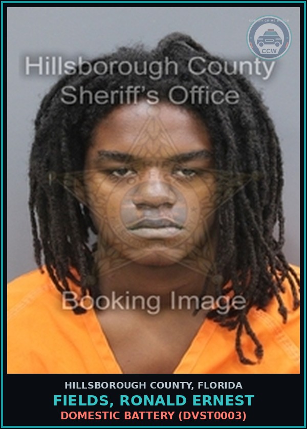 Booking mugshot of FIELDS, RONALD ERNEST in Hillsborough County