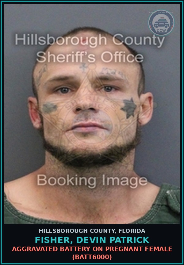 Booking mugshot of FISHER, DEVIN PATRICK in Hillsborough County