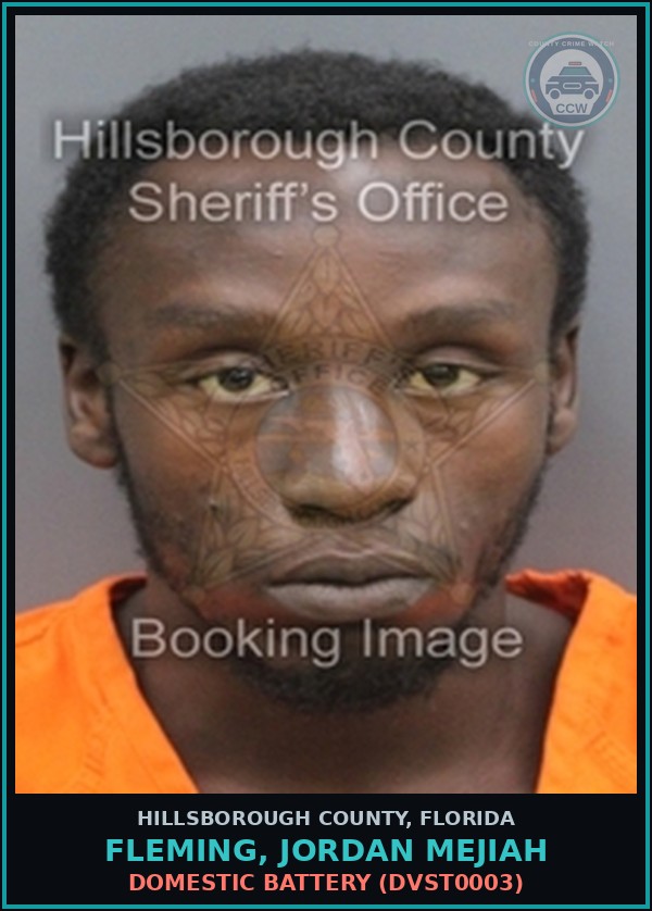 Booking mugshot of FLEMING, JORDAN MEJIAH in Hillsborough County