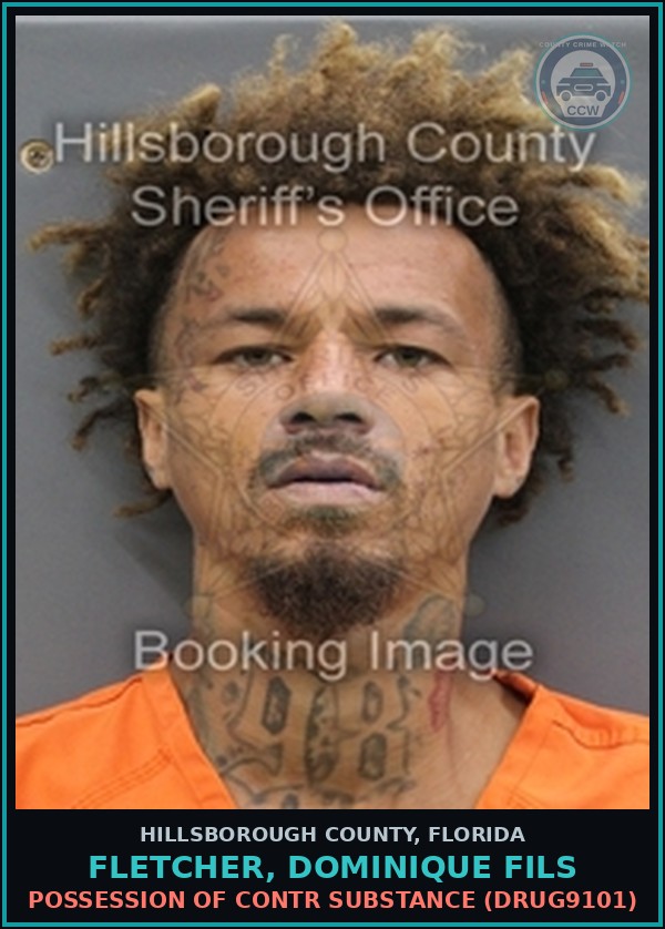 Booking mugshot of FLETCHER, DOMINIQUE FILS in Hillsborough County