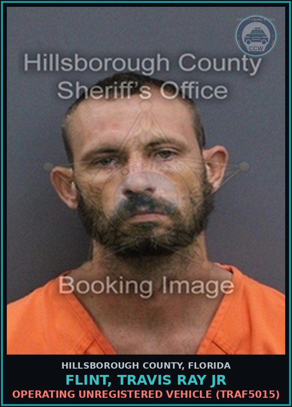 Booking mugshot of FLINT, TRAVIS RAY JR in Hillsborough County